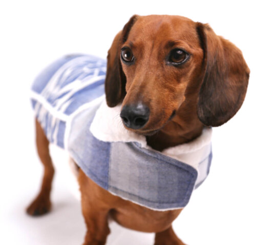 The RiverBuff Jacket